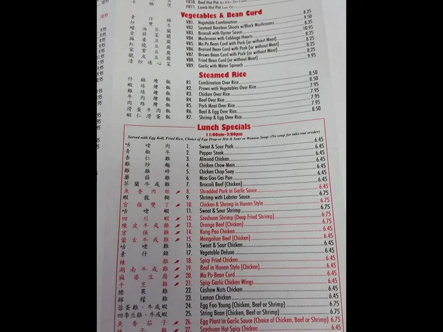 Scanned Canton Chinese Restaurant menu page listing fire pot, vegetables & bean curd, steamed rice and lunch specials with prices