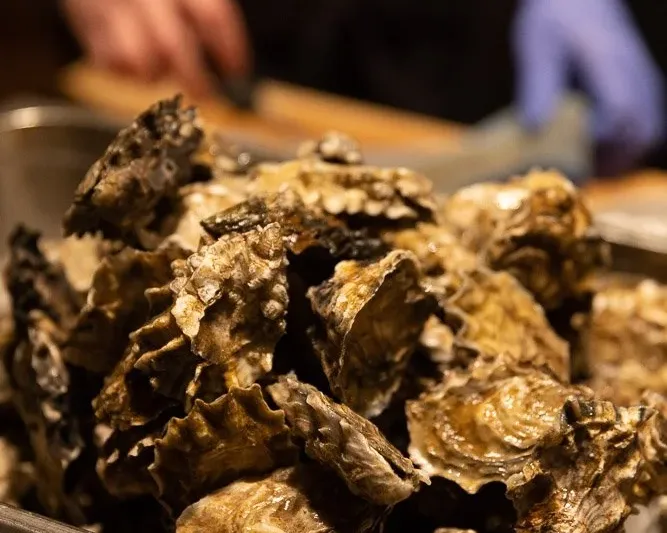 Fresh oyster shells being prepared at Jacqueline in Portland