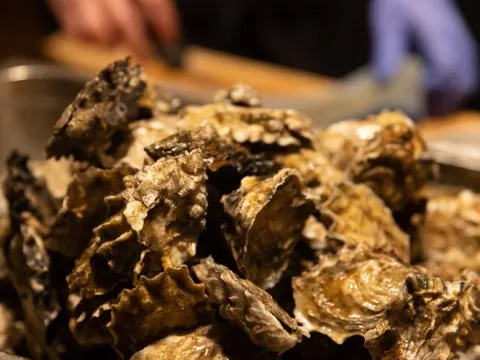 Fresh oyster shells being prepared at Jacqueline in Portland